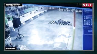 Most dangerous snake viral video must watch and subscribe to support my new channel guys