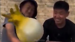 kumpulan vidio meme random kocak ygy