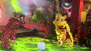 ATRAKSI BARONGSAI #barongsai#atraksi#kebudayaan