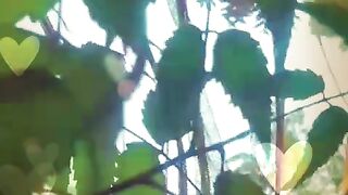 Video 33 2