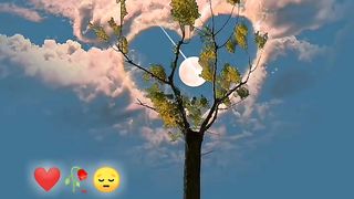 Beautiful status ???????? 4