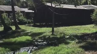 Kampung kami