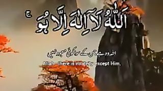 تلاوت قرآن سے دلوں کو سکون ملتا ہے