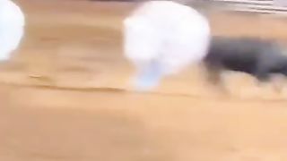#tiktok 29