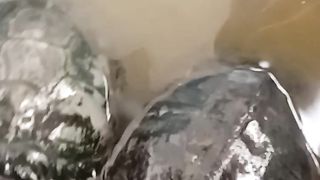 2 turtle