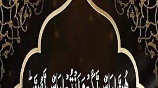 All videos Pakistan 8