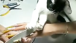 Cat helping with nails
