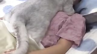 Cat getting on owner's face