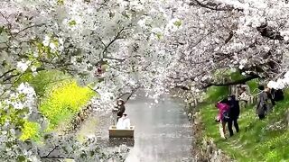 Most Beautiful Places On Earth 4