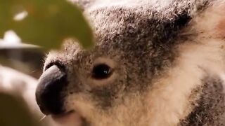 Гарний настрій