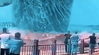 Ikan Paus Raksasa mengamuk