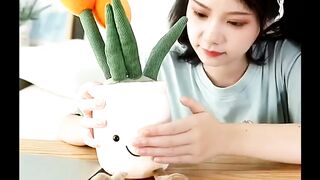Plushie Pillow decoration