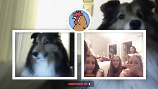 Cute Dog JUMPSCARE PRANK on Omegle!