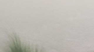 Barish 10