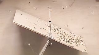Mouse trap video
