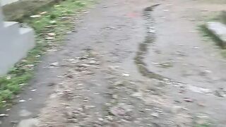 Berangkat kerja