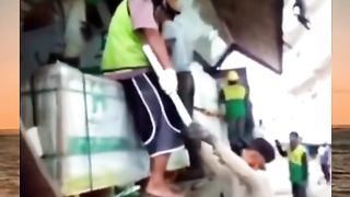 Funny videos people