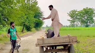 Tik Tok video 2
