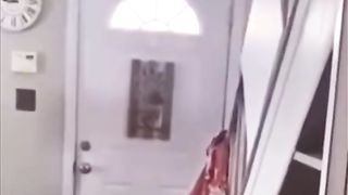 Compilation funny video 12