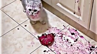 part 2???? ♥️❤️❤️