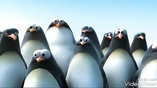 penguin