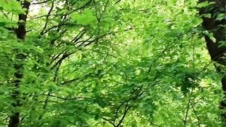 Beautiful nature 51