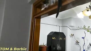 New Funny Cats and Dogs ????????Funniest Animals 2023 ????baby cats