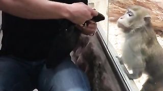 Приколи 232