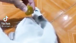 Приколи 233