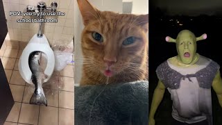 Funny tiktok compilation to make your DAY