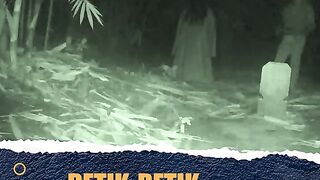 Reel gost 20