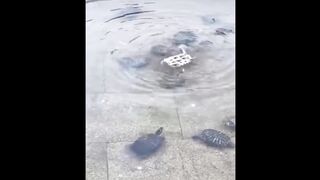 That's What Friendship is For