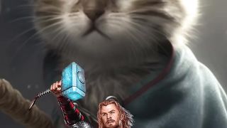 Cute Cat Vertion Of Avengers ✨All Characters