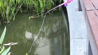 Toy fishing rods can also catch fish