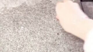 Cat funny 24