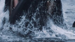 surprise! giant whale sound
