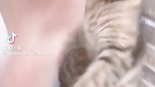 short drôle