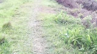 the road to the fields