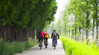 sports bicycle that nourishes the body