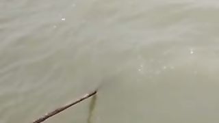 BALIQ  OVI  |  FISHING  |  RIBALKA  |  MAZZADA  |  #fishing #fisherman #baliqovi #youtube 2