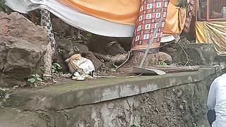 Alam dan tradisi