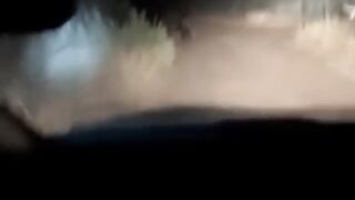Ghost Or Animal
