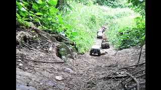 Mobil offroad di hutan terbaru