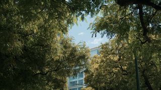Autumn in Lisbon: A Captivating Seasonal Escape