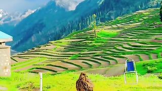 Beautifull view Song+View