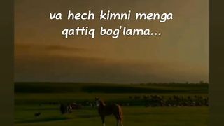 Manoli video