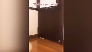 funny and cute animals 9