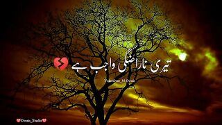 Teri.Narazgi Wajib Hai Sad Shero Shayari #Status