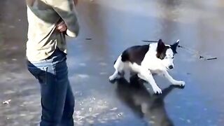 Best funny video 2023 6