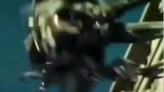 Best meme transition ????